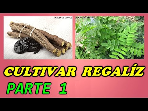 , title : 'Cultivo del Regaliz - 1ª PARTE //Todo Huerta y Jardín'