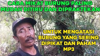 Download lagu BEGINI CARA MUDAH MEMIKAT BURUNG YANG SERING DIPIKAT DAN PAHAM DENGAN MP3 mp3