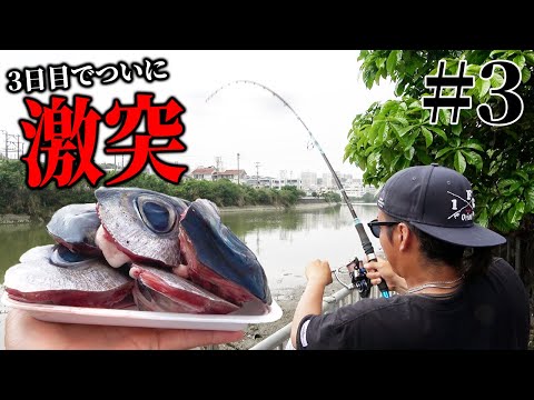 【#3】三日目突入！新兵器投入でついに大物がHITしました！