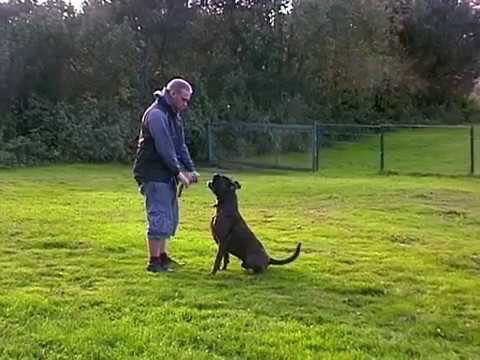 Voraus, erste Übungen