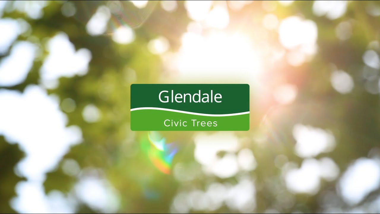 Glendale Civic Trees