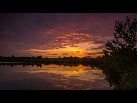 Eriva feat. Goa - I Feel You