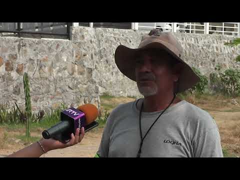 Continúa la reforestación en lagunas El Ensueño y El Encanto de Veracruz