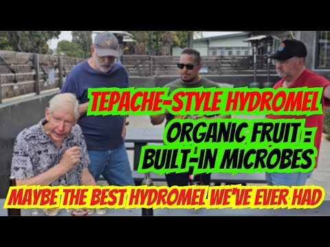 Best Hydromel Yet: Dry Hopped Wild Pineapple Tepache Mead!