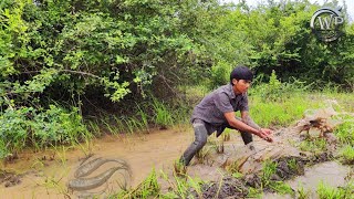 Wow catch a lot of fish in the rainy season by young boy
