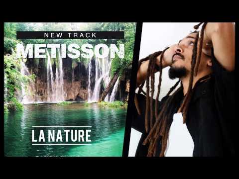 Metisson -  La Nature