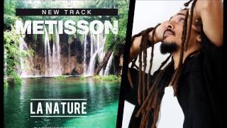 Metisson -  La Nature