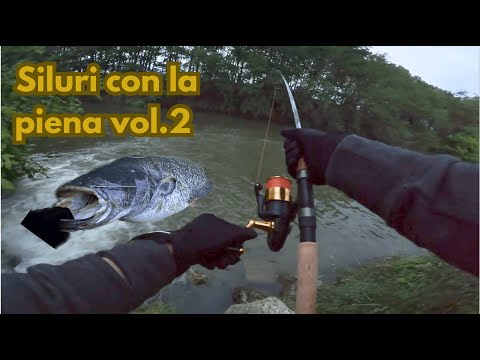 SILURI con la piena vol.2 - MONSTER under the waterfall