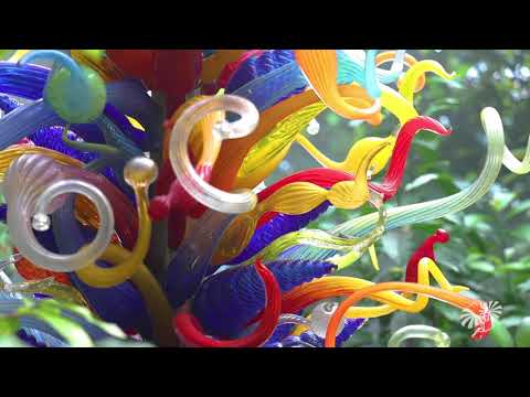 Tropical Plant Conservatory and Rare Plant House