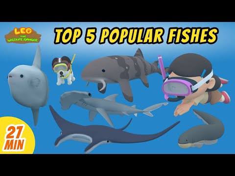 Top 5 Popular Fishes Minisode Compilation - Leo the Wildlife Ranger | Animation | For Kids