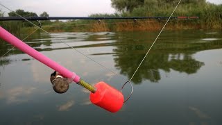 Что необходимо для ловли карпа новичку с ми