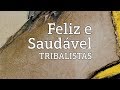 Feliz e Saudável - Tribalistas (lyric video)
