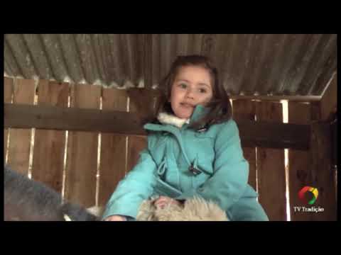 Festejos Farroupilhas 2016 - Resumo