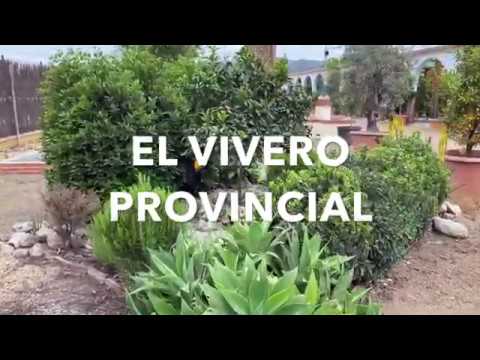 Vivero Provincial. Recorrido por sus instalaciones. Segunda parte. 2020