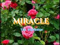 Miracle (lyrics) The Stylistics