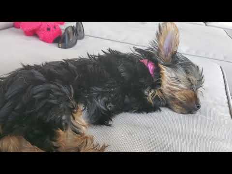 RONA REW - Episode 1: The Nap