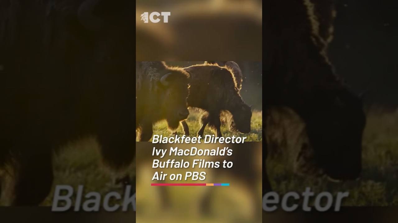 Blackfeet Director Ivy MacDonald's Buffalo Films to Air on PBS