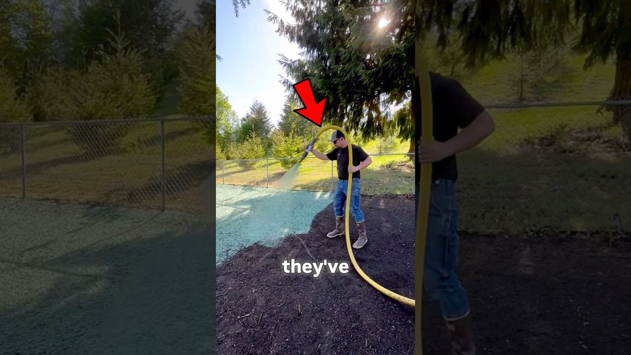 They Turned Lawn Growing Into a Business