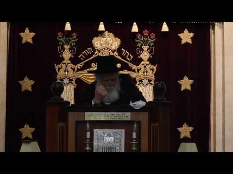 Rav Chaim Kanievsky Hespaidim at Shor Yoshuv