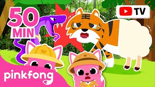 [BEST] Summer Outdoor Songs | Spooky Animals + More | Farm Animal Songs | Pinkfong for Kids