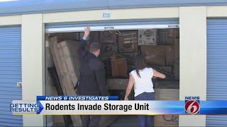 Rodents invade storage unit