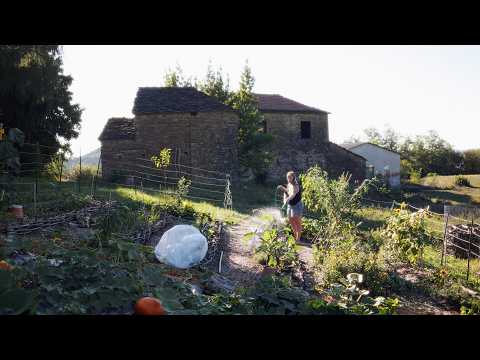 From Brambles to Harvest | One Year Building a Garden from Scratch