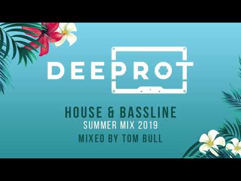 DEEPORT - HOUSE & BASSLINE SUMMER MIX 2019