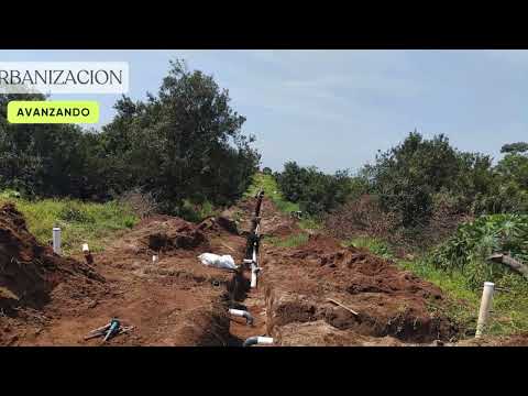 Macadamias promo DIC2025  55seg