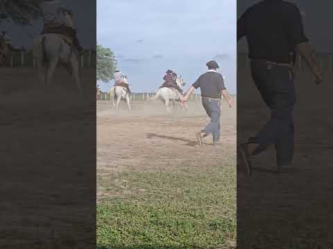 JINETEADA.. CAMPO LARGO CHACO...