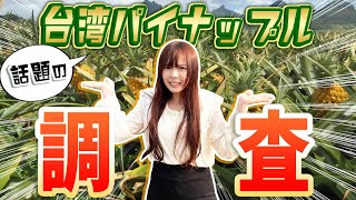 台湾パイナップルの農家に実際の現状を調査してみた結果‥