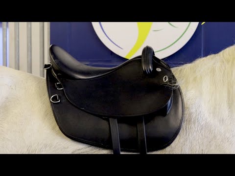 Lederbaumsattel Ursache für Probleme beim Reiten?