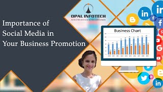 Importance of Social Media in Your Business Promotion