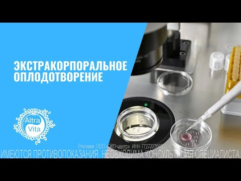 Если беременность замерла что покажет тест