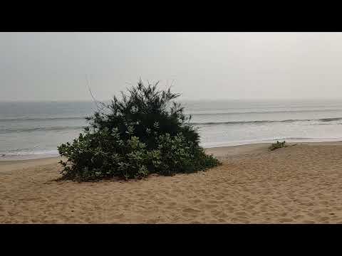 Such a beautiful Seacoast!😍