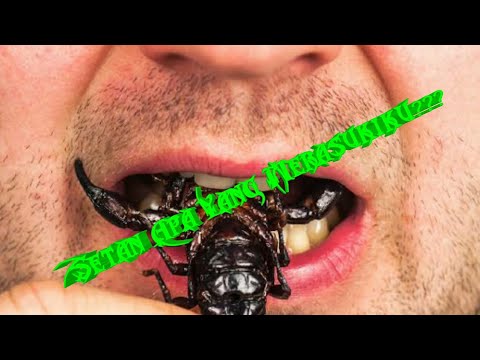 SETAN APA YANG MERASUKIMU - TIK TOK (WISATA KULINER THAILAND) HD!!!