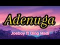 Joeboy ft Qing Madi - Adenuga Lyrics Video