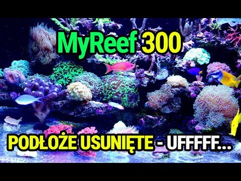 (147) MyReef 300 / I removed the sand - Marine aquarium - Reef aquarium