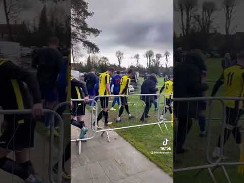 The Rotherfield - Midhurst and Easebourne FC