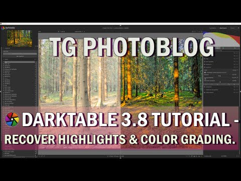Darktable Tutorial Full Edit: Recover Highlights and Color Grading