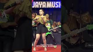 Download lagu NYONGGO KANGEN | udan udan angin angin #anggunpramudita #dangdut #koplo mp3