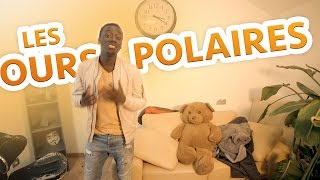 La Minute Ours polaire