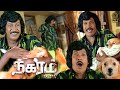 Vadivelu And Tommy Dog Belly Laughter Comedy Nagaram Marupakkam Sundar C Anuya Bhagvat DMY