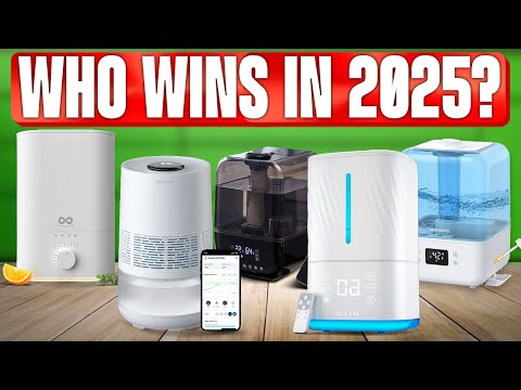 TOP 5 Best Humidifiers 2025