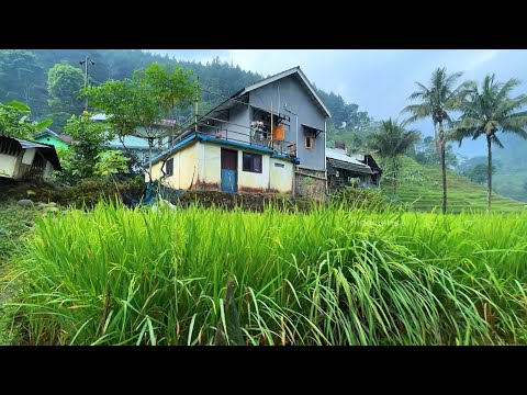 The joy of living in rural Indonesia||beautiful, cool and friendly people