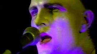 CHARLIE UK 1977 Split Enz