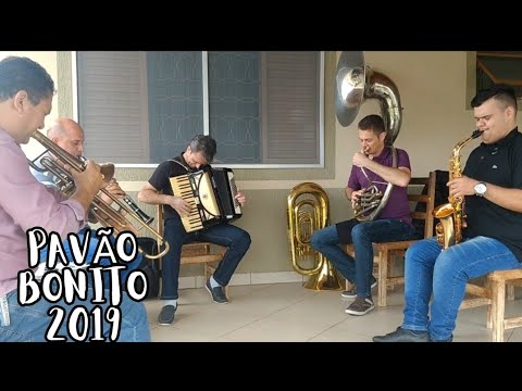 TOCATA PAVÃO BONITO 2019 - GUSMÃO VISITA AMIGOS | DVD COMPLETO