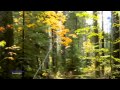 SECRET GARDEN - Passacaglia (amazing ...