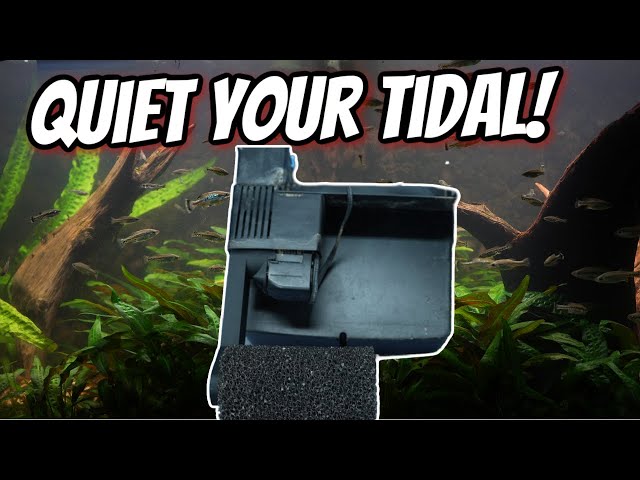 Judge.me YouTube video placeholder