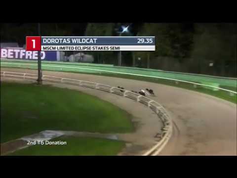 2018 MSCM ECLIPSE STAKES 1ST SEMI - T1 DOROTAS WILDCAT