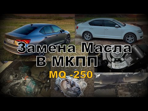 Skoda: Грамотная Замена Масла в МКПП MQ-250 (2021)